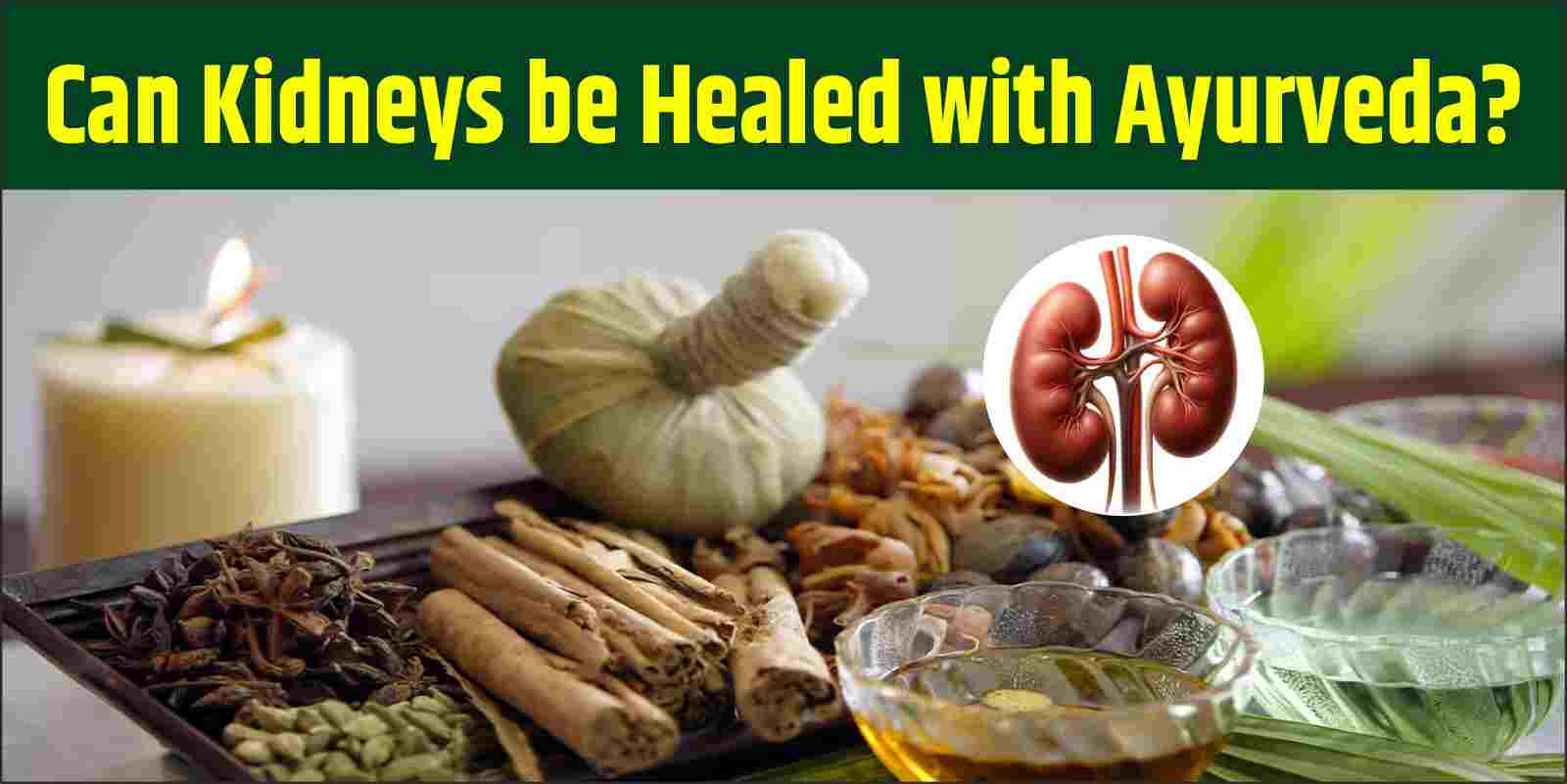 Can Kidneys be Healed with Ayurveda?